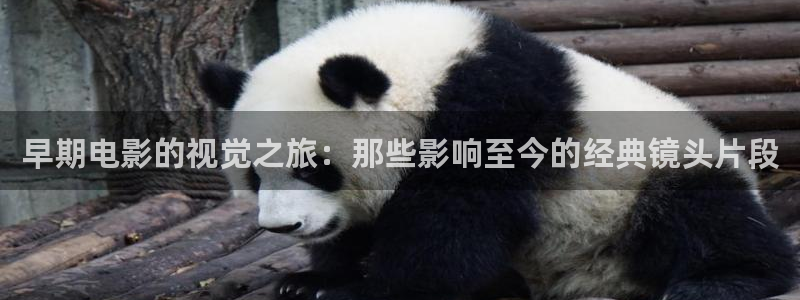 樱花视频在线看