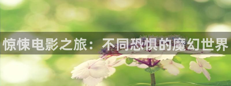 17c樱花视频