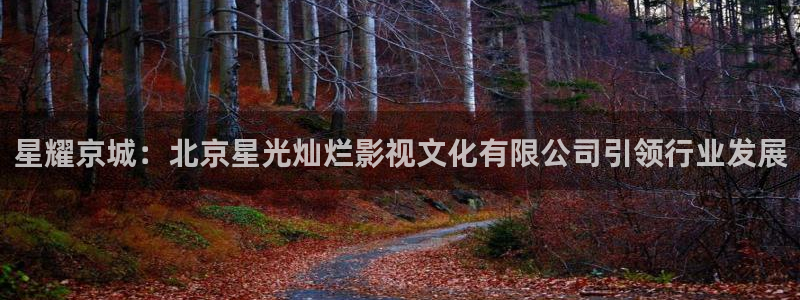樱花视频mv