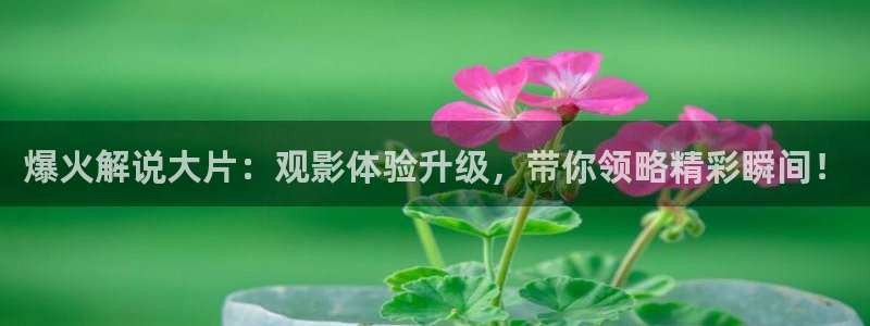 缘之空樱花视频