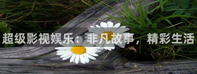 樱花视频免费完整版在线观看