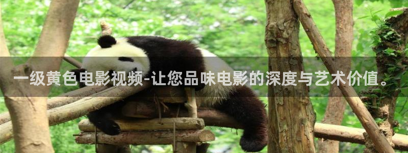 樱花视频免费看电视剧下载