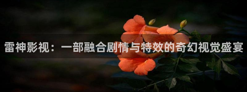 樱花视频老版本