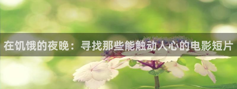 樱花视频相关
