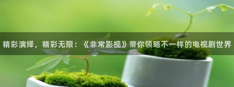 樱花视频在线观看电视剧大全播放