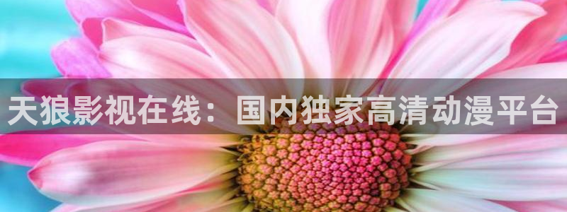 樱花视频8522tⅴ：天狼影视在线：国内独家高清动漫平台
