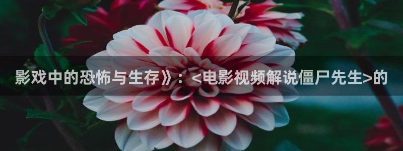 樱花影院动漫：影戏中的恐怖与生存》：<电影视频解说僵尸先生>的