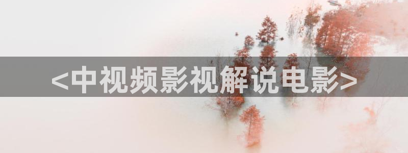 樱花视频导航：<中视频影视解说电影>