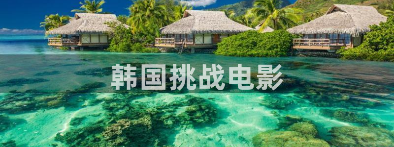 樱花视频免费观看电视剧高清：韩国挑战电影