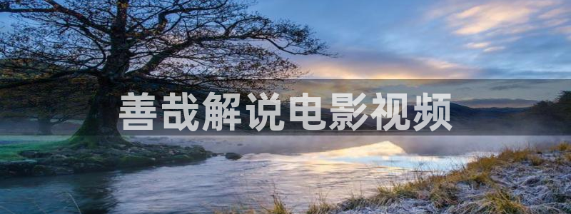 卡通动漫樱花视频：善哉解说电影视频