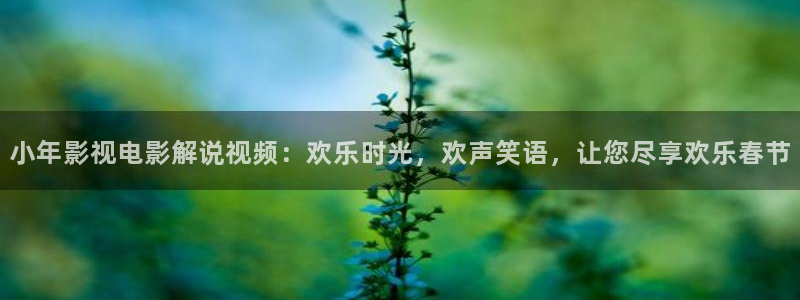 樱花影视电影：小年影视电影解说视频：欢乐时光，欢声笑语，让您尽享欢乐春节