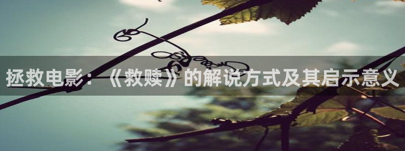 樱花影院在线观看高清：拯救电影：《救赎》的解说方式及其启示意义
