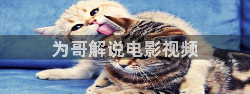 樱花影视在线看：为哥解说电影视频