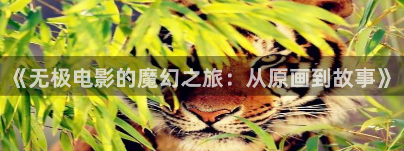 樱花视频在线：《无极电影的魔幻之旅：从原画到故事》