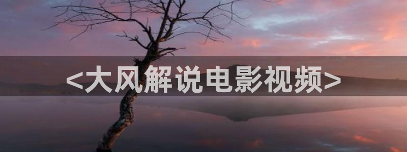 樱花视频影视：<大风解说电影视频>