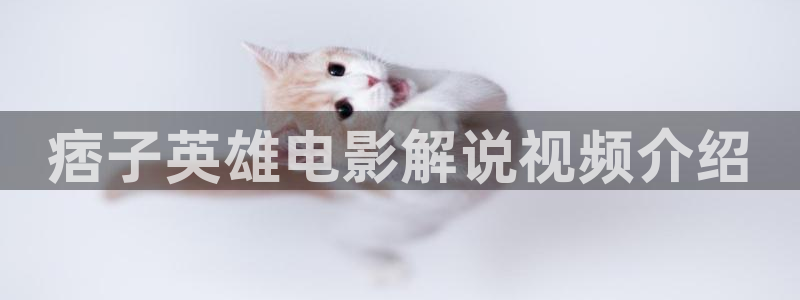 樱花视频首页：痞子英雄电影解说视频介绍