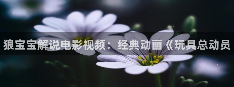樱花视频在线观看高清免费资源在线观看：狼宝宝解说电影视频：经典动画《玩具总动员