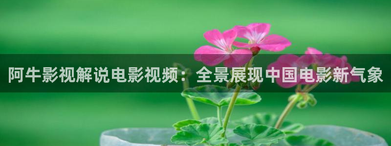 樱花视频wwww：阿牛影视解说电影视频：全景展现中国电影新气象