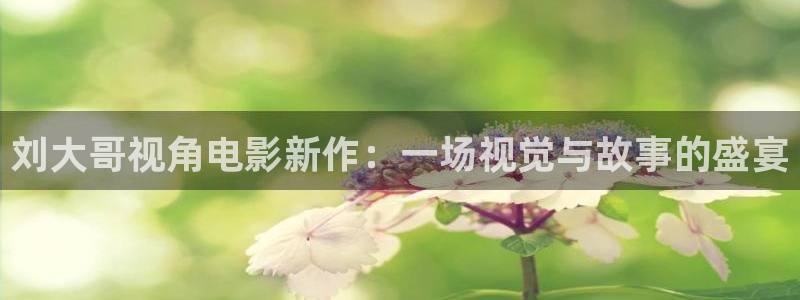 樱花影视电影电视剧免费观看：刘大哥视角电影新作：一场视觉与故事的盛宴
