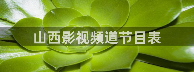樱花影院高清电影：山西影视频道节目表