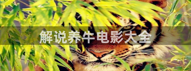 樱花视频在线看：解说养牛电影大全