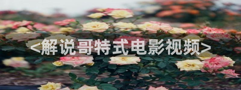 樱花视频无：<解说哥特式电影视频>