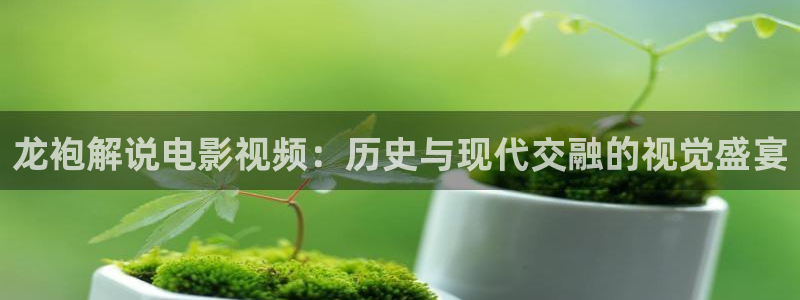 樱花影视大全在线观看电影：龙袍解说电影视频：历史与现代交融的视觉盛宴