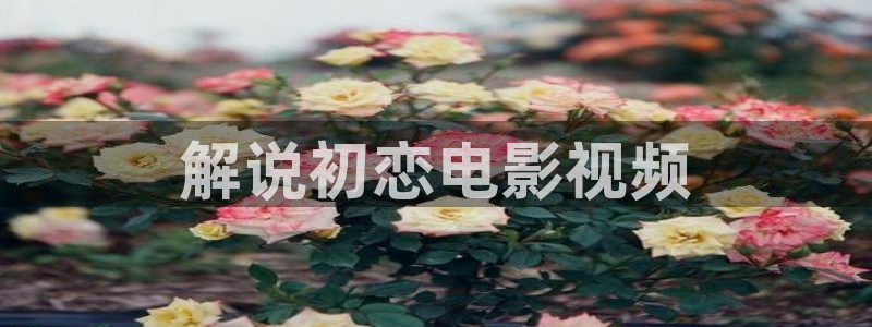 樱花影院网