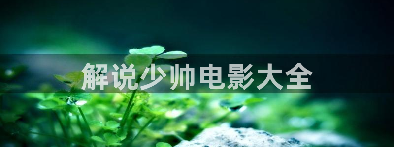 樱花视频直播