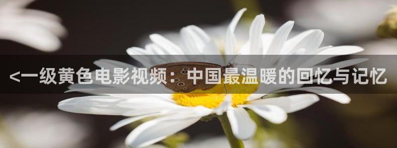 樱花视频高清免费看