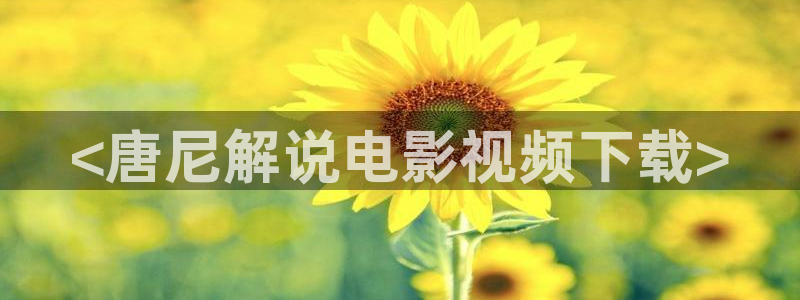 樱花影院电视剧免费