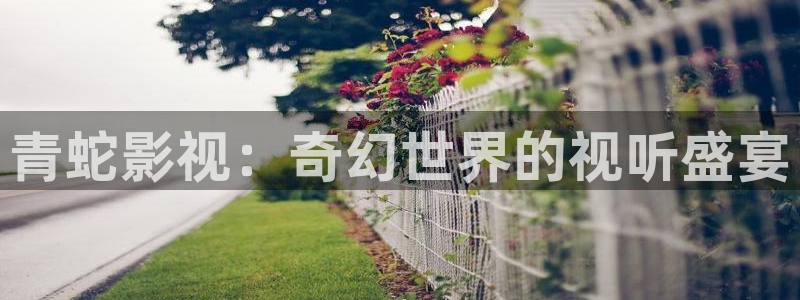 樱花视频vip