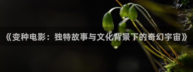 樱花视频热门电视剧
