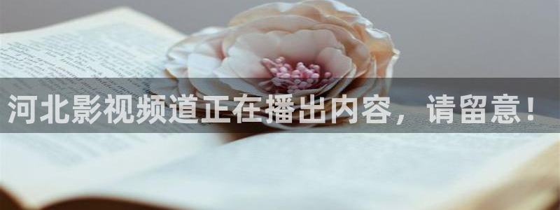 樱花视频,免费观看