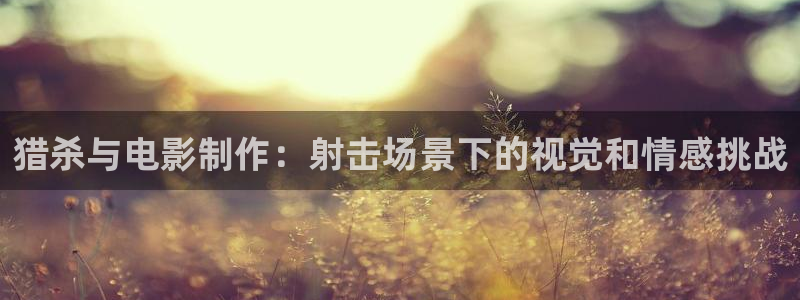 樱花视频免费观看电视剧高清在线观看
