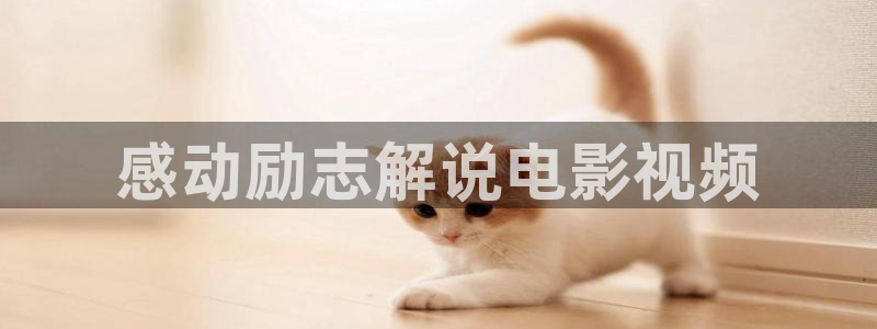 樱花视频hd