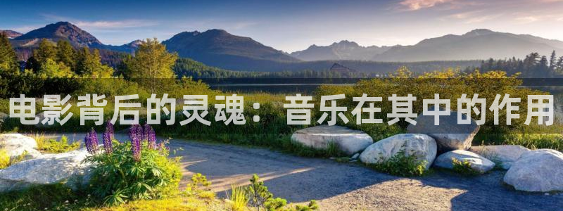 樱花影视免费看电视剧