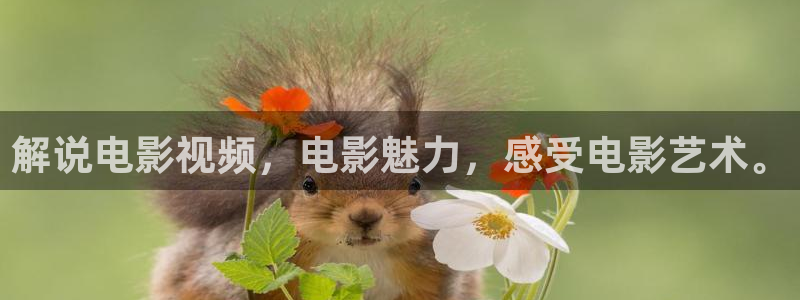 y樱花视频