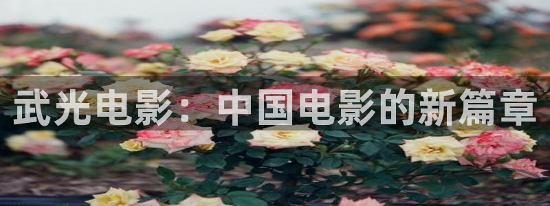 樱花影视免费看电视剧