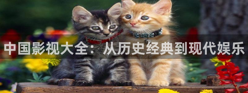 樱花影视在线看