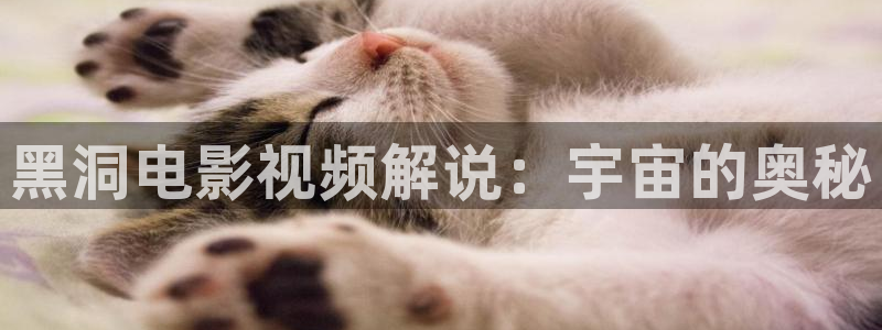 曰本樱花视频
