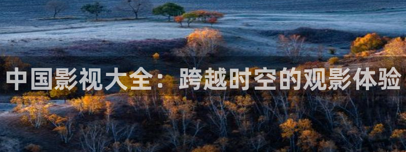 樱花视频综合在线