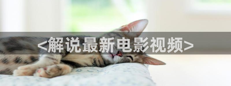 樱花影视热门电视剧有哪些