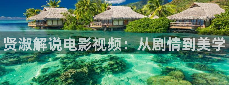 樱花视频4