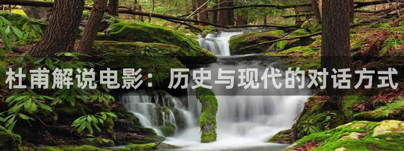 樱花影视大全免费观看：杜甫解说电影：历史与现代的对话方式