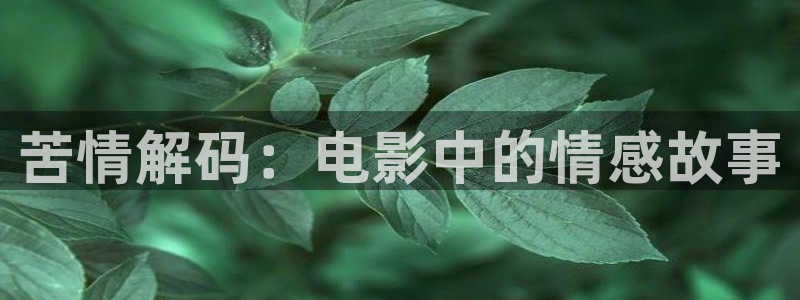 免费看樱花视频：苦情解码：电影中的情感故事