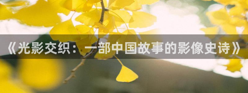 樱花视频的：《光影交织：一部中国故事的影像史诗》
